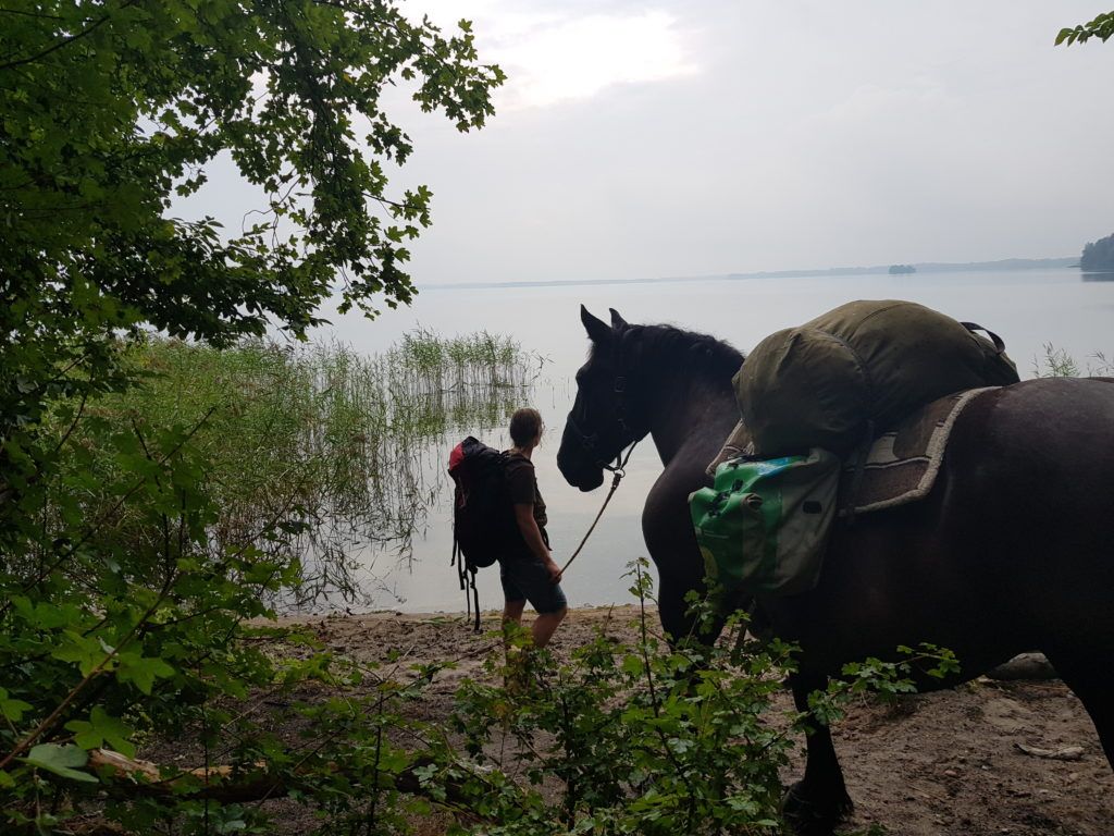 MT20_Wandern_GuntamitPferd MT20 Gunta mit Pferd am Schweriner See