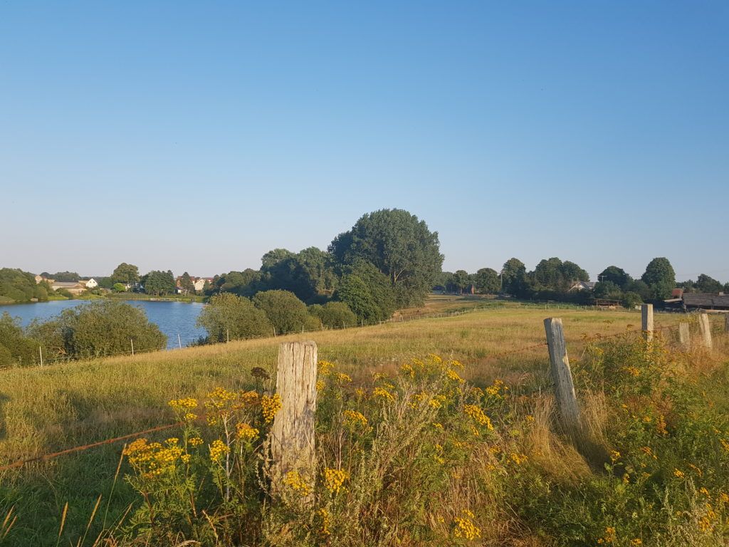 MT20_Wandern_MecklenburgVorpommern MT20 Wanderweg nach Dragun, Naturerlebnis
