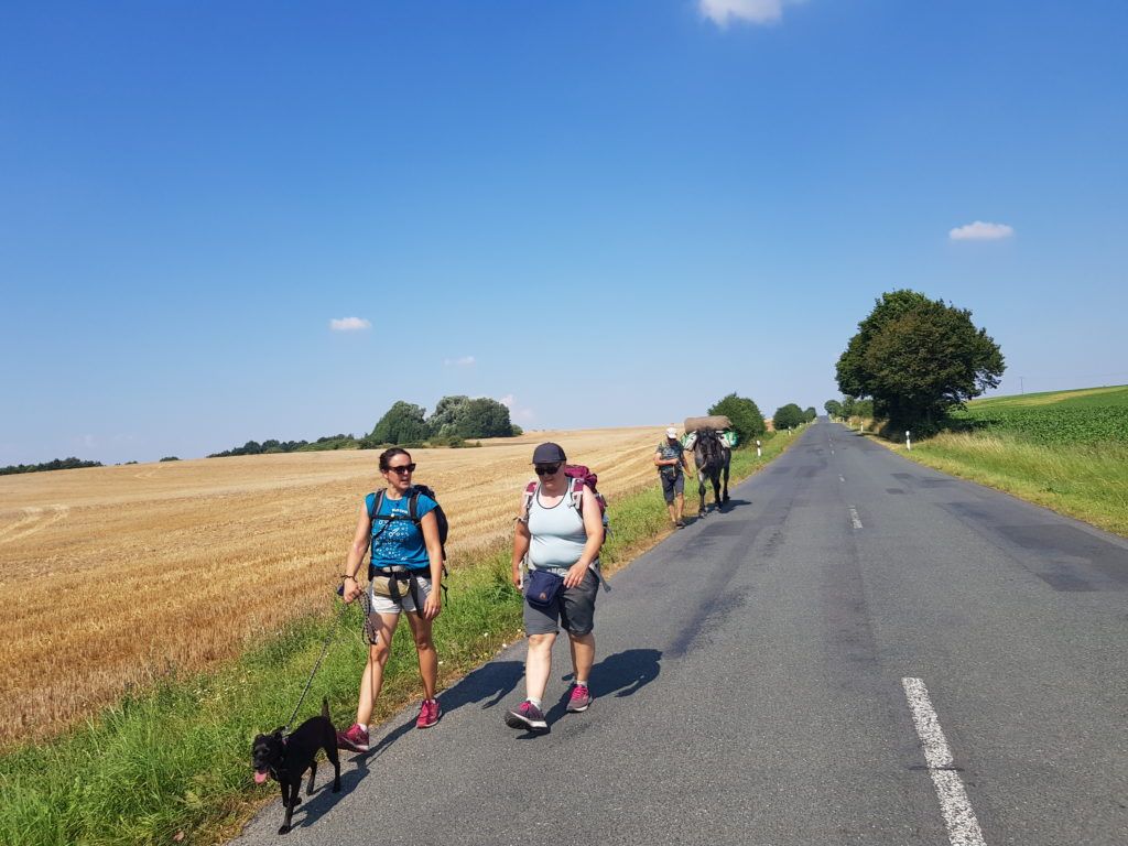 MT20_Wandern_Sommer MT20 Wanderweg entlang einer Landstraße
