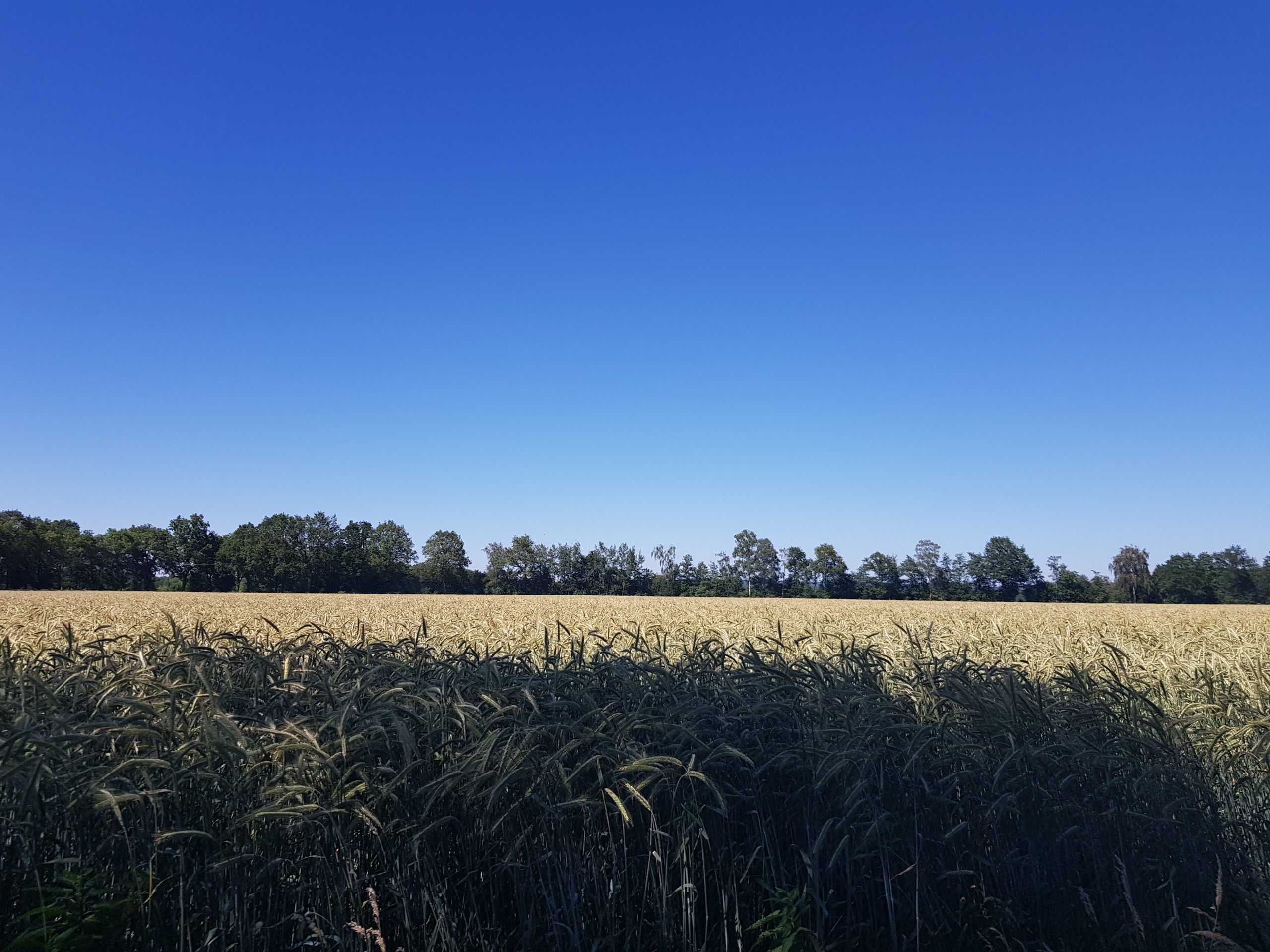 Mein Weg aus der Depression