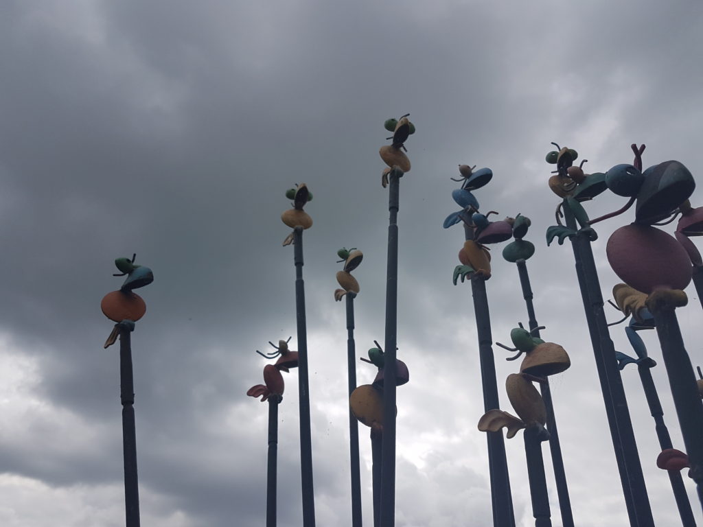 Voegel mit grauen Wolken 1 bunte Vögel vor grauen Wolken