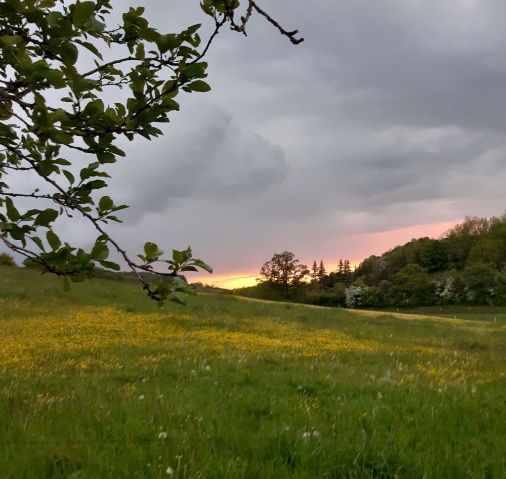 Bild_von_Sonnenuntergang_als_Sinnbild_Natur_psychische_Gesundheit Bild eines Sonnenuntergangs als Sinnbild für mehr Achtsamkeit