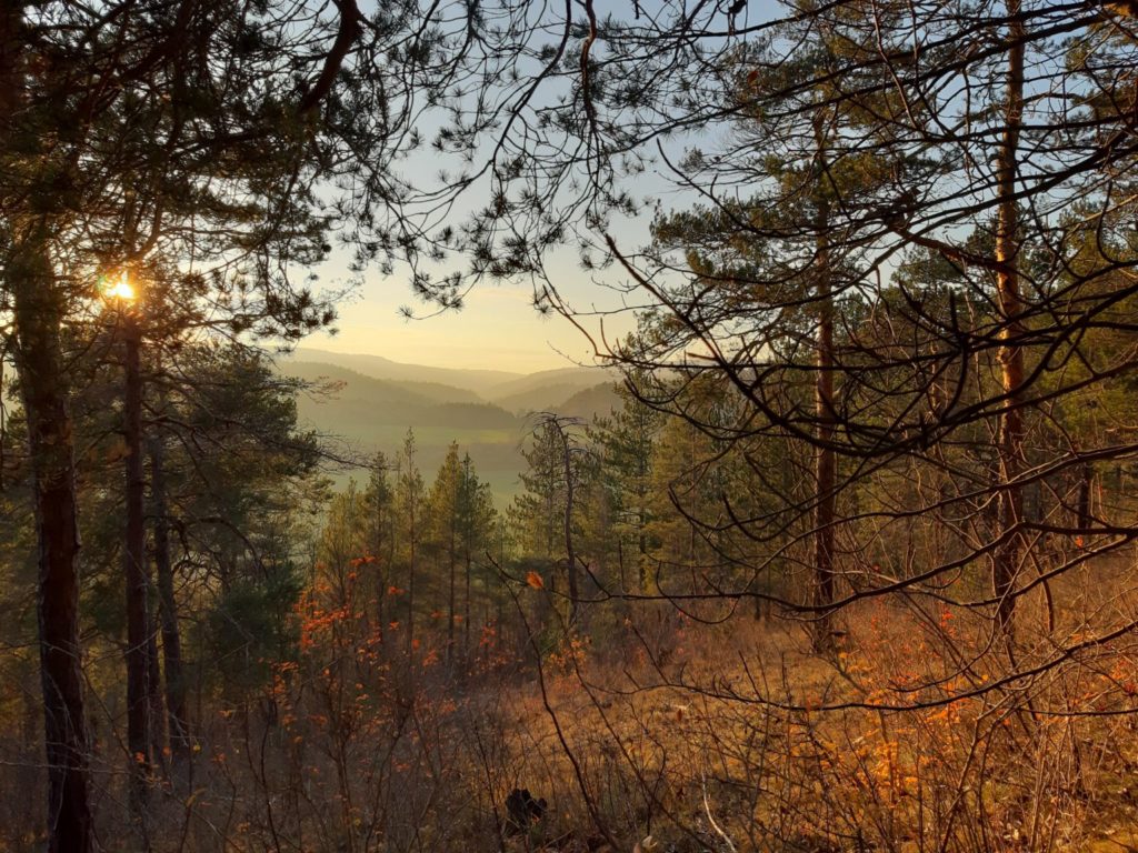 Naturlandschaft_Wirkung_von_Natur_auf_Psyche_Achtsamkeit Natur hat nachgewiesene Effekte auf die psychische Gesundheit