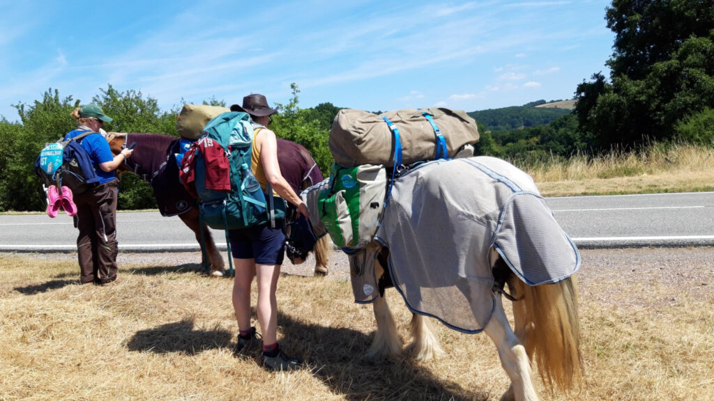 MT22_W2_Pferdewandern_Depression Wandern für mehr Offenheit im Umgang mit Depressionen